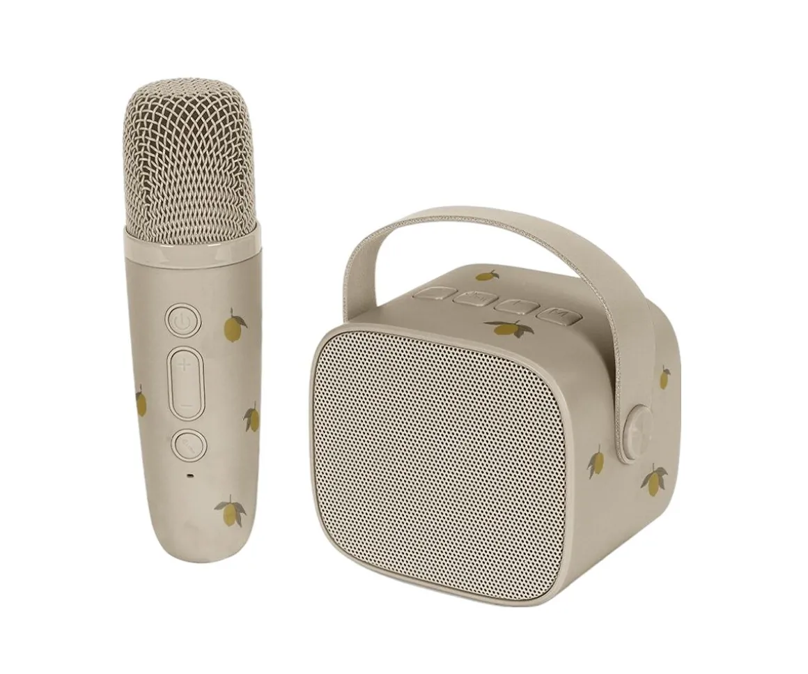Altavoz Bluetooth y Karaoke Lemon