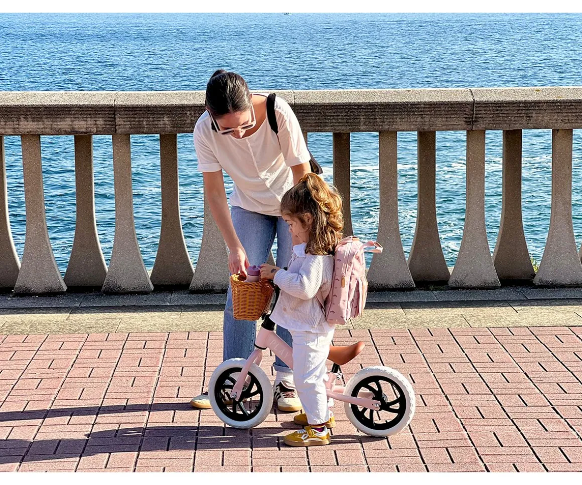 Bicicleta Equilibrio Premium Pink