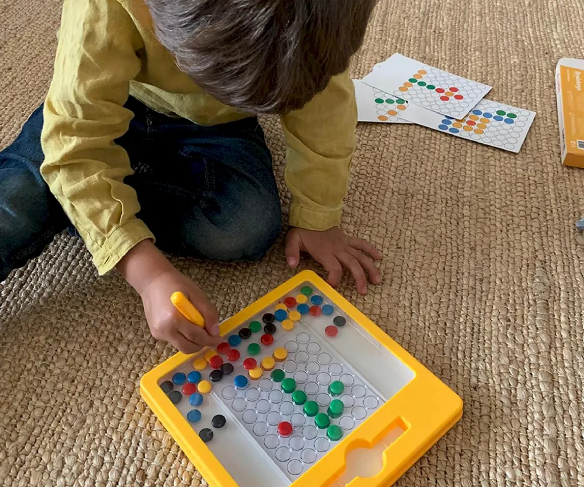 Braintoys Imadots