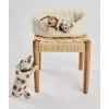 Cesta con Mamá Dog y sus Cachorros