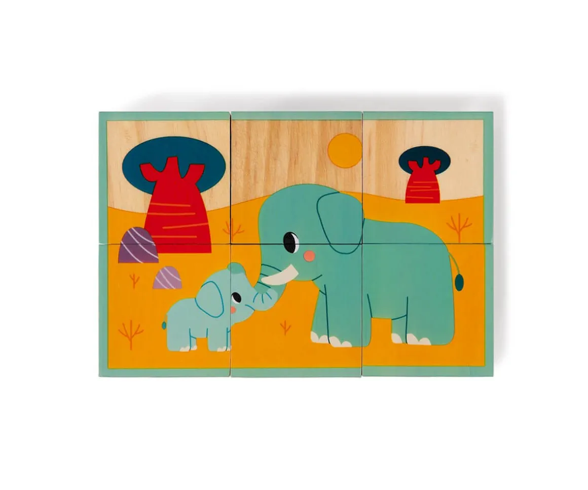 6 Cubos de Madera Animales