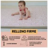 Enrollagateo Simple Estampado City