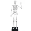 Esqueleto 45 cm