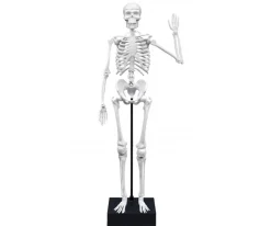 Esqueleto 45 cm