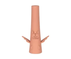 Linterna Dragón Raspberry