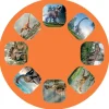 Linterna Proyector Dinosaurios