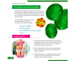 Microscopio Levenhuk LabZZ M101 Lima + Libro Educativo