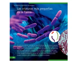 Microscopio Levenhuk LabZZ M101 Lima + Libro Educativo
