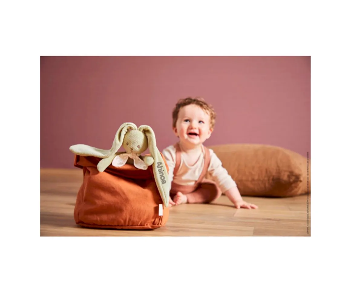 Peluche Rabbit Verde Pequeño Personalizable