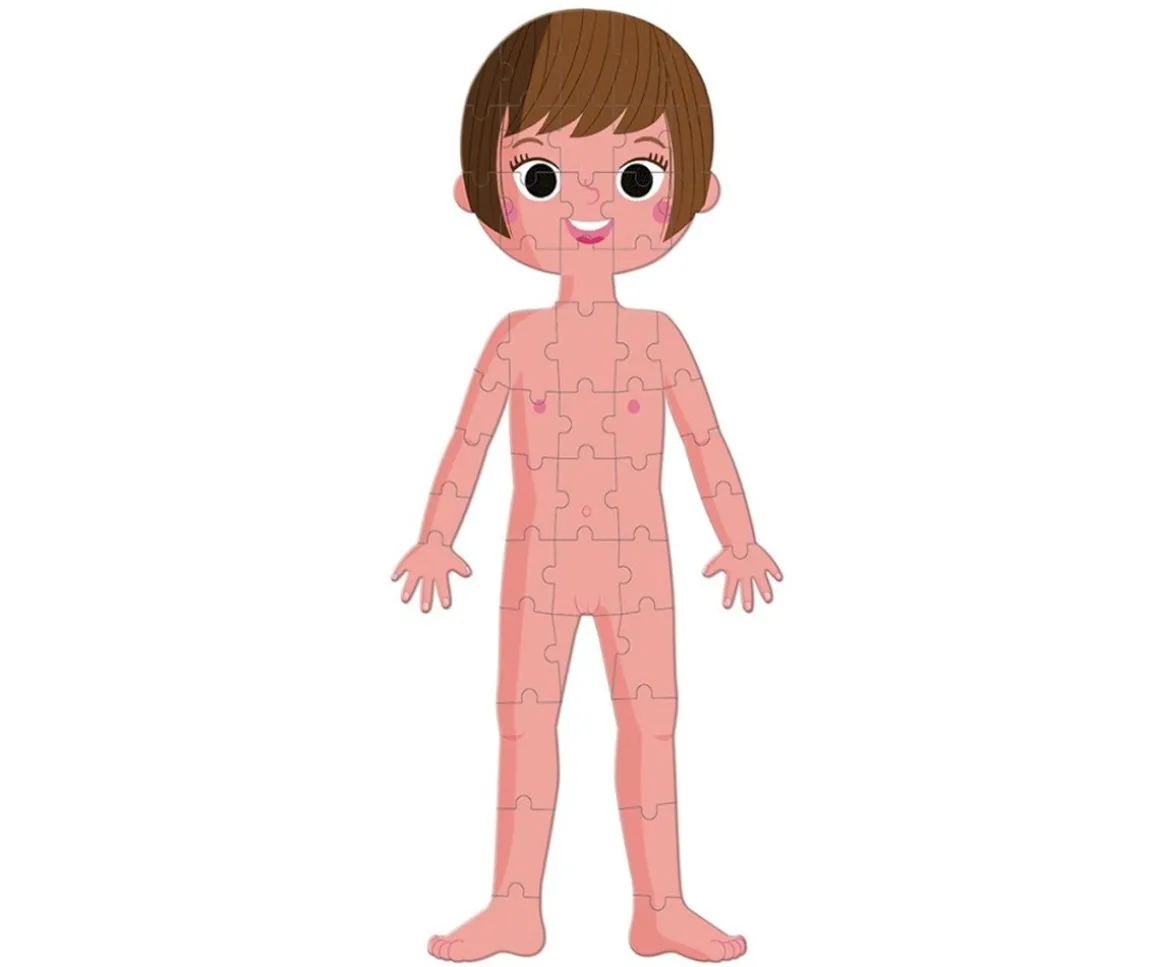 4 Puzles Educativos El Cuerpo Humano