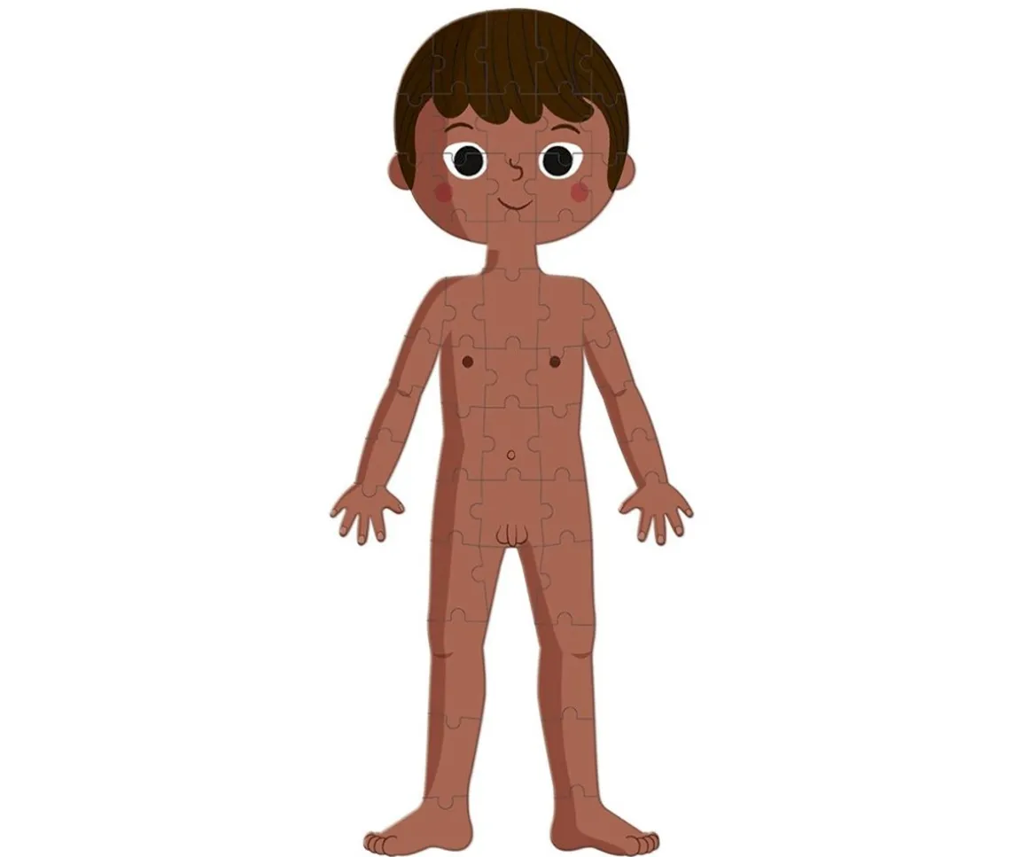 4 Puzles Educativos El Cuerpo Humano