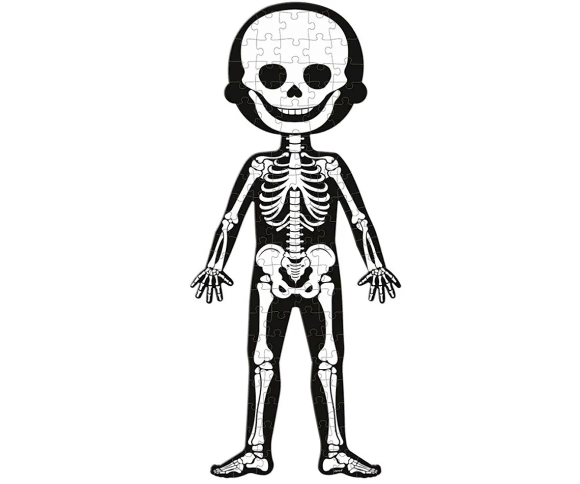 4 Puzles Educativos El Cuerpo Humano