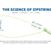 Set de Cuerdas Repuesto ZipString Original